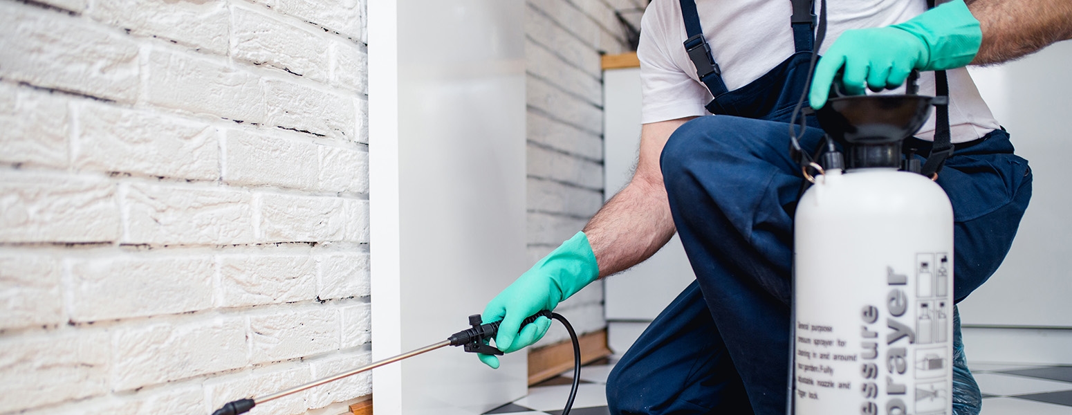 Pest control leads
