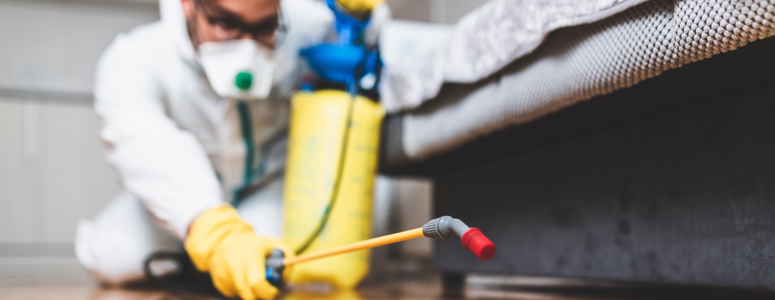 Pest control worker