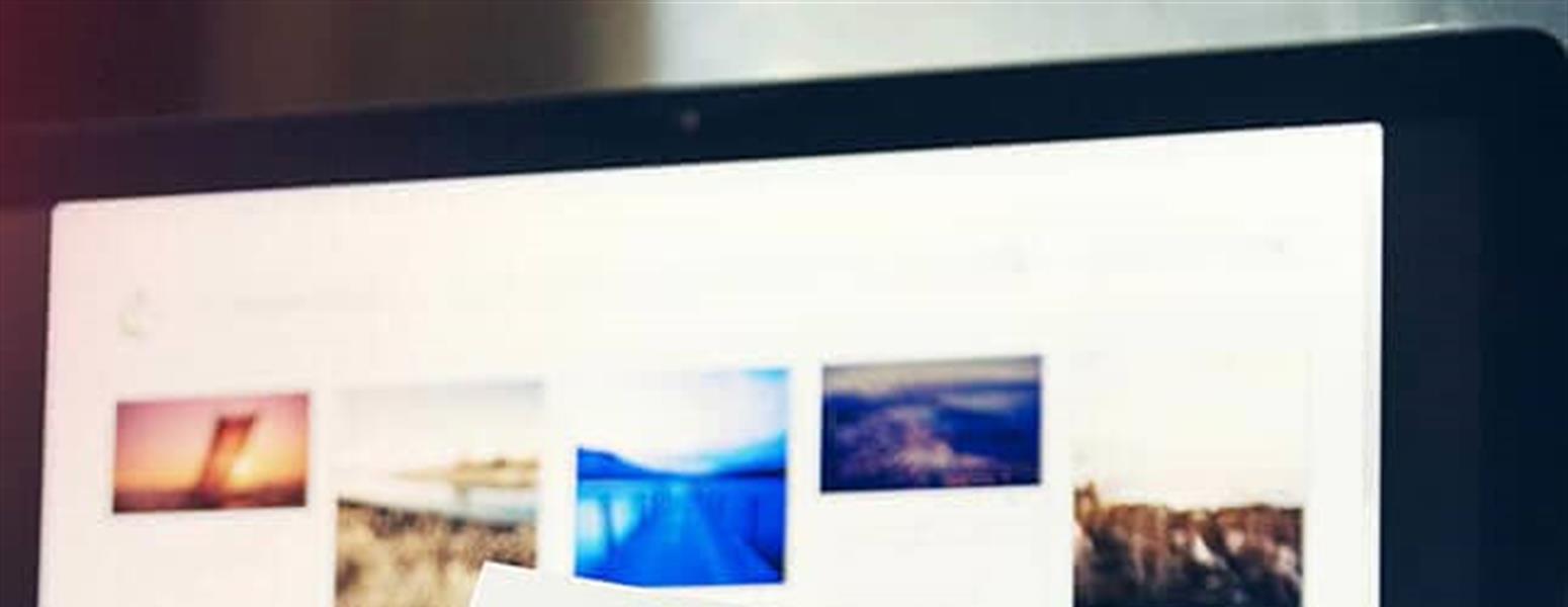 Person Holding Branding Guidelines
