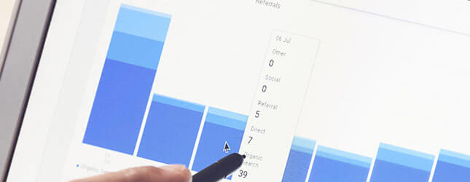 Person Looking at Data on a Laptop