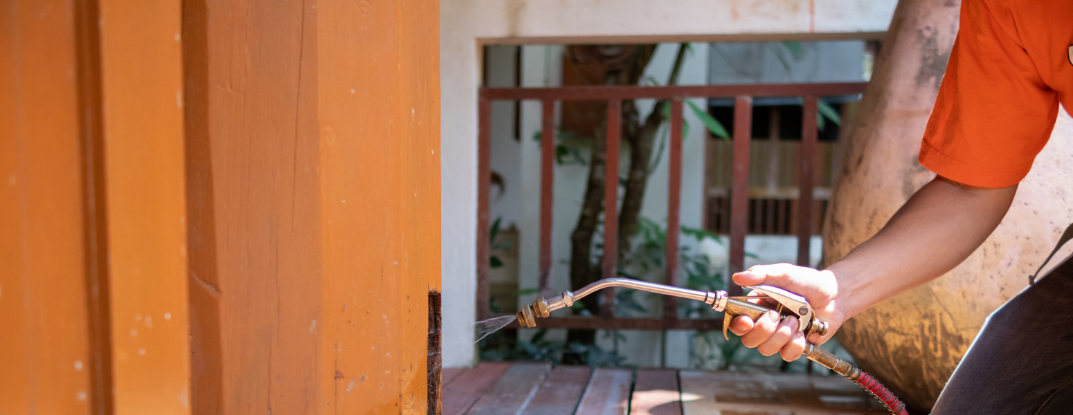 pest control operator spraying