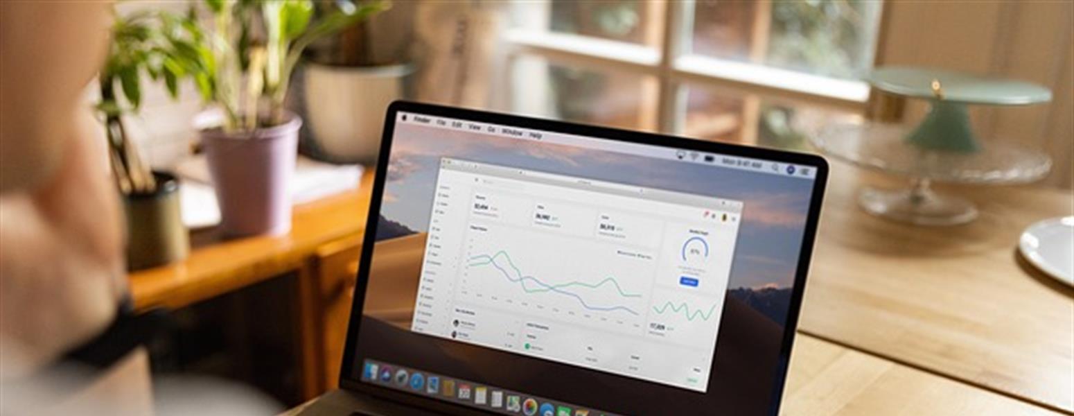 A person looking at a chart on a laptop