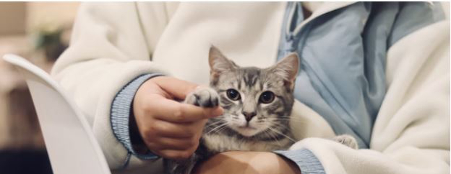 Content marketing is a great way for veterinarians to stand out to potential patients. Learn about the benefits it can have for your practice and how Scorpion can help.