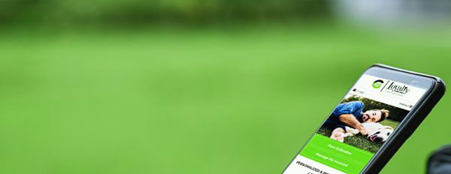 A person looking at Lawn Loyalty online