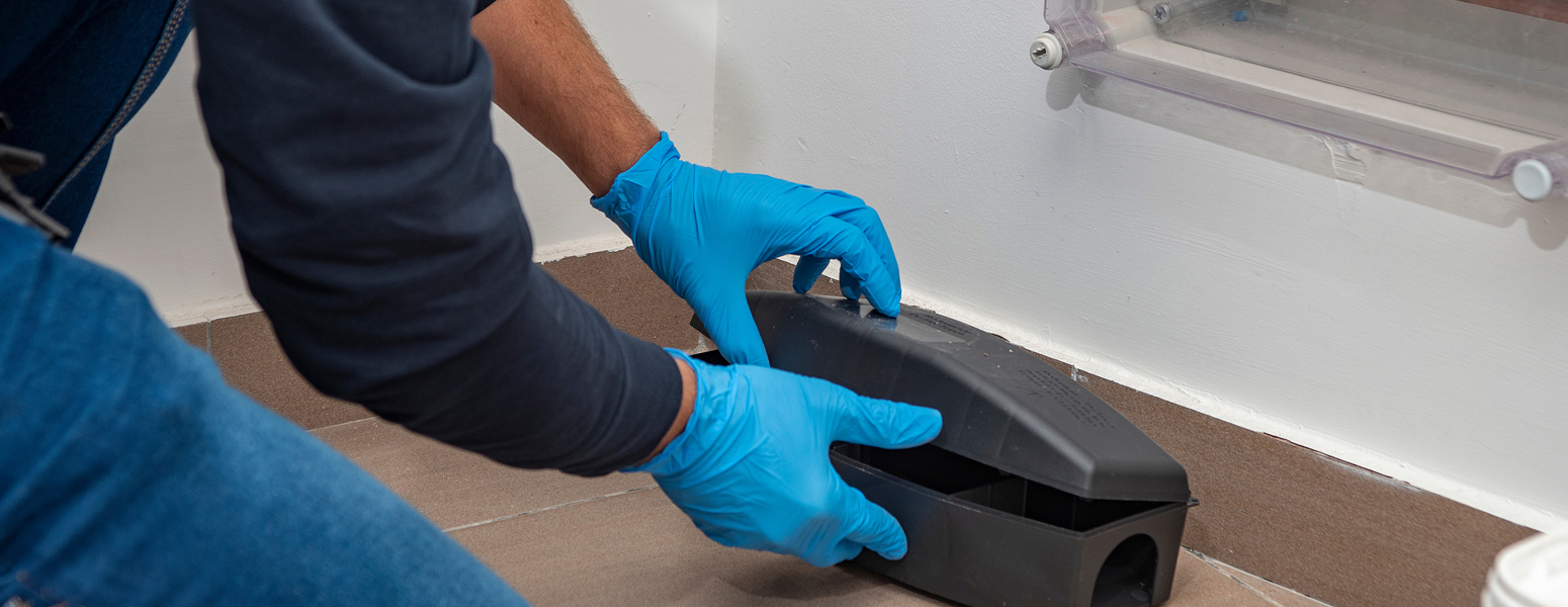 pest control seo