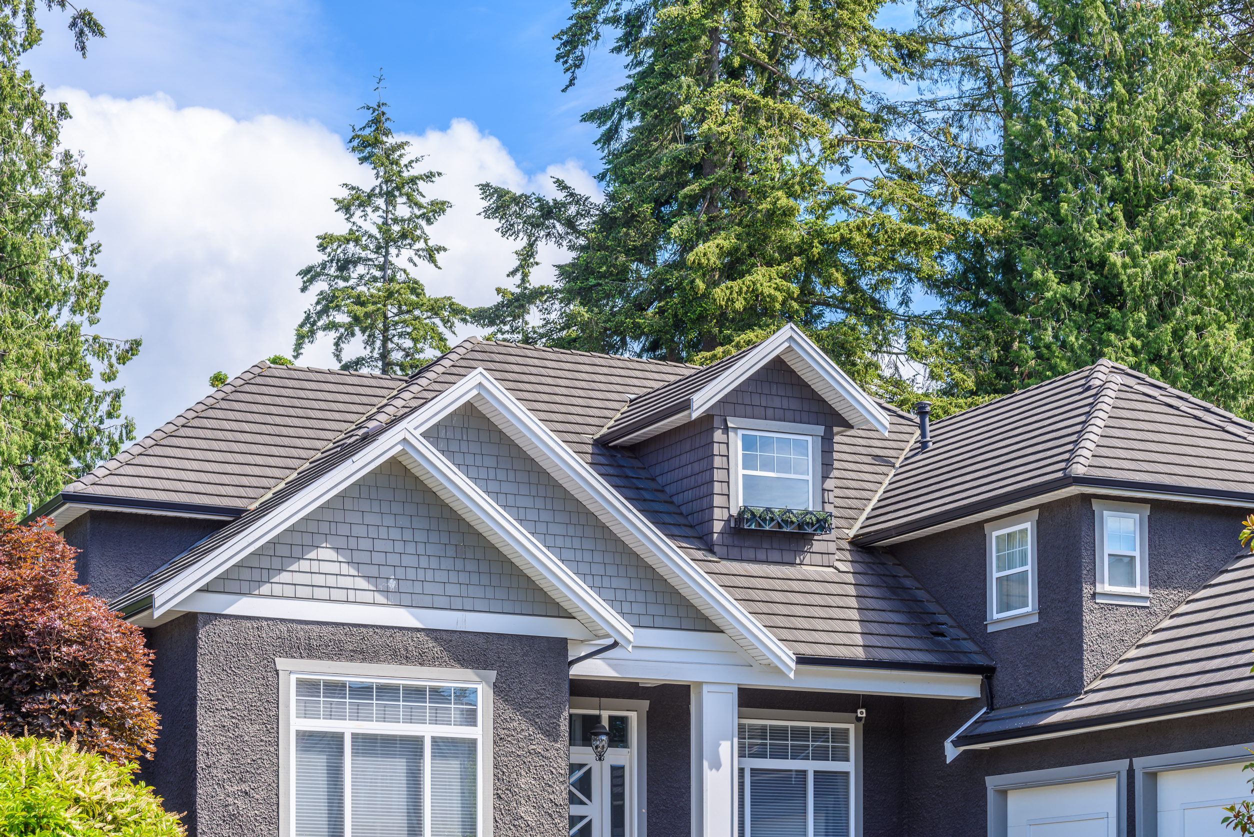 Image of a house in the woods showcasing the roof