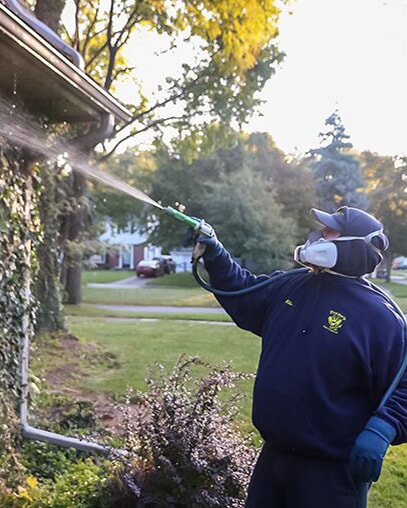 Frames Pest Control Worker