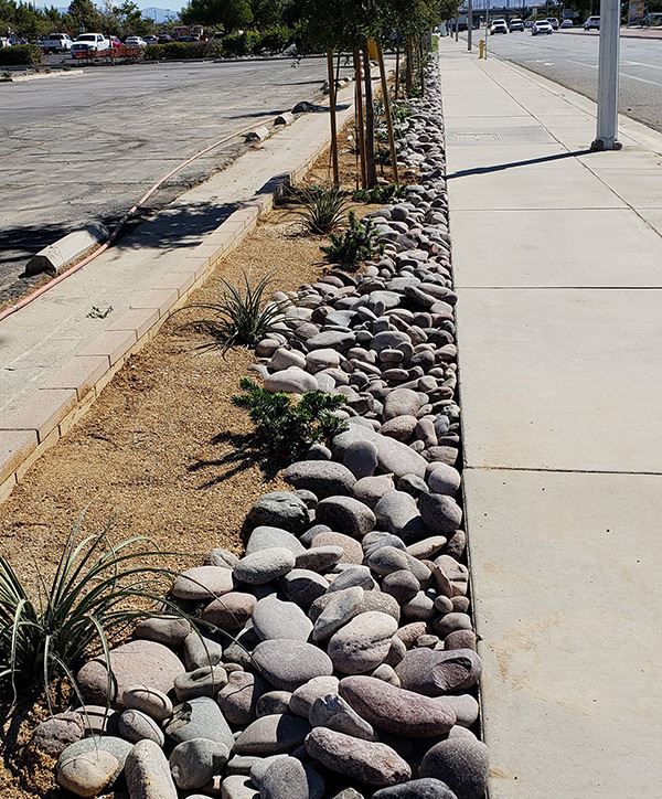 desert sidewalk landscaping